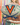 The University of Virginia