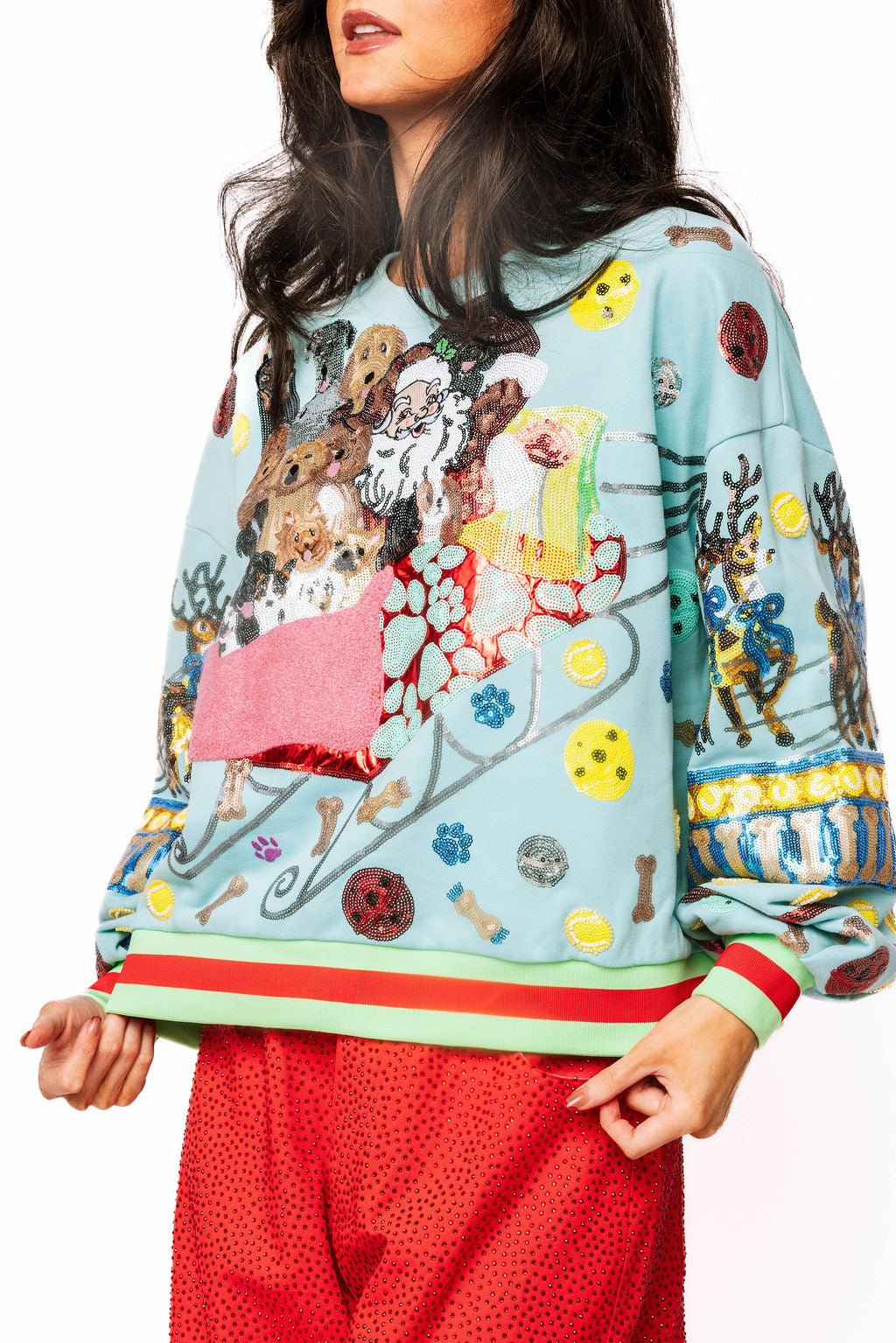 Aqua Dogs on Santas Sleigh Sweatshirt