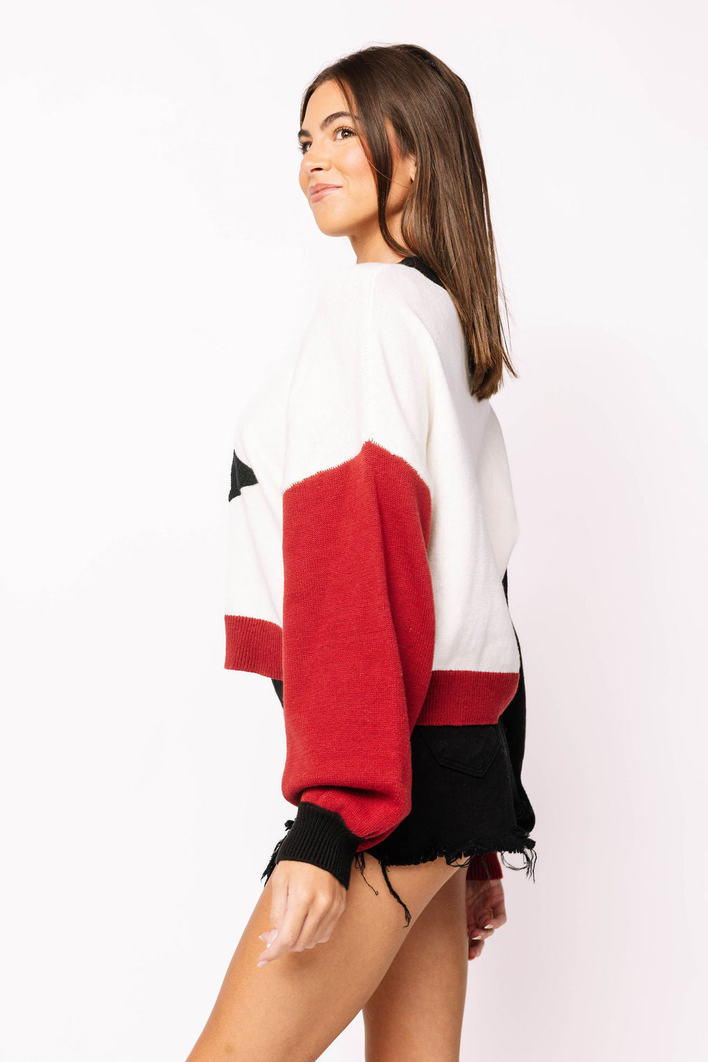 Licensed Sample - S Carolina Pennant Sweater