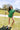 Green Golfing Girls Cotton Short